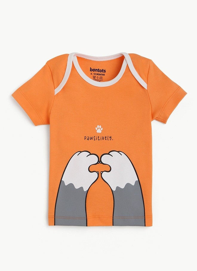 BONTOTS Boys Organic Cotton T-shirt with Graphic Print - Image 2